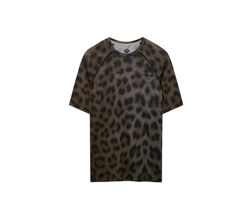 Dark Leopard