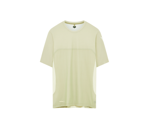 Warm Grey/Yellow